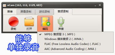 錄屏小將 ocam 全能錄屏、截圖與錄音的得力助手